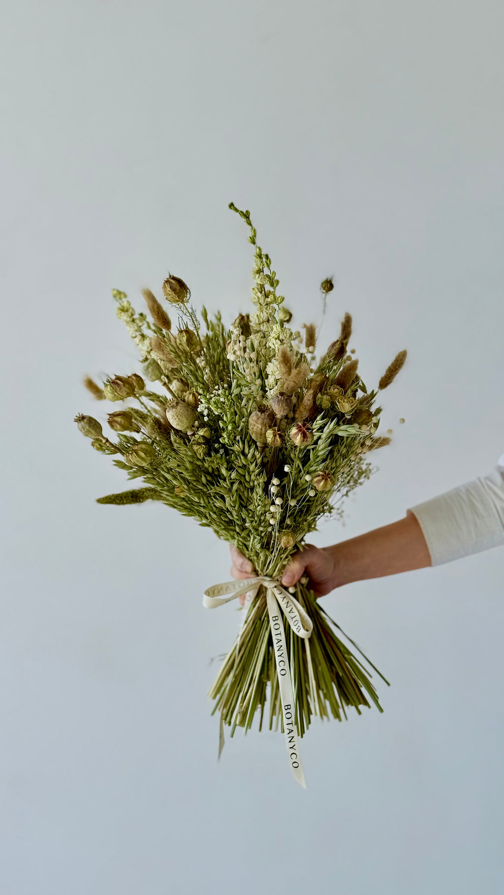 Ramo de Flor Seca & Preservada - Beige