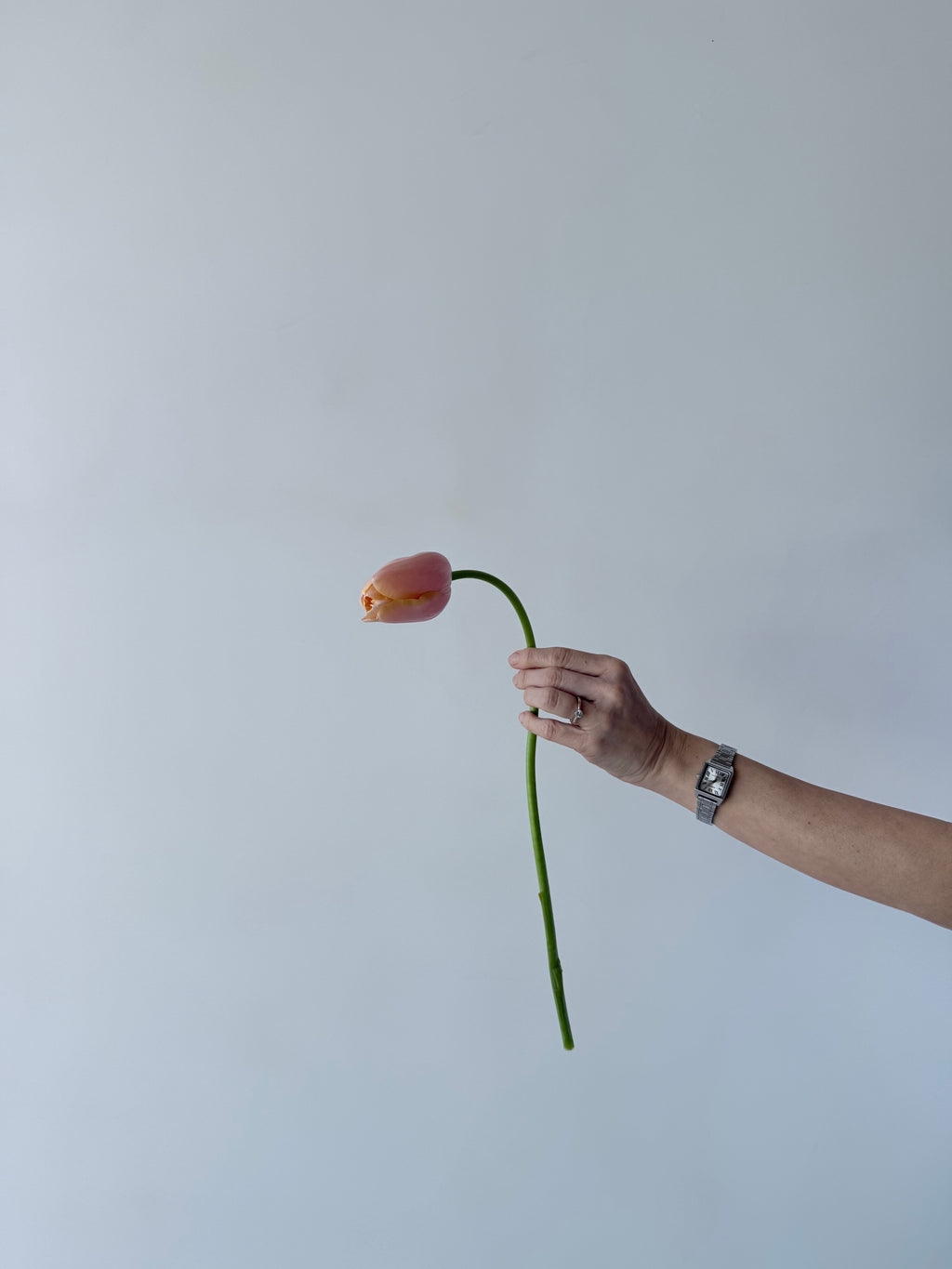 Taller Floral Estacional