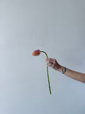 Taller Floral Estacional