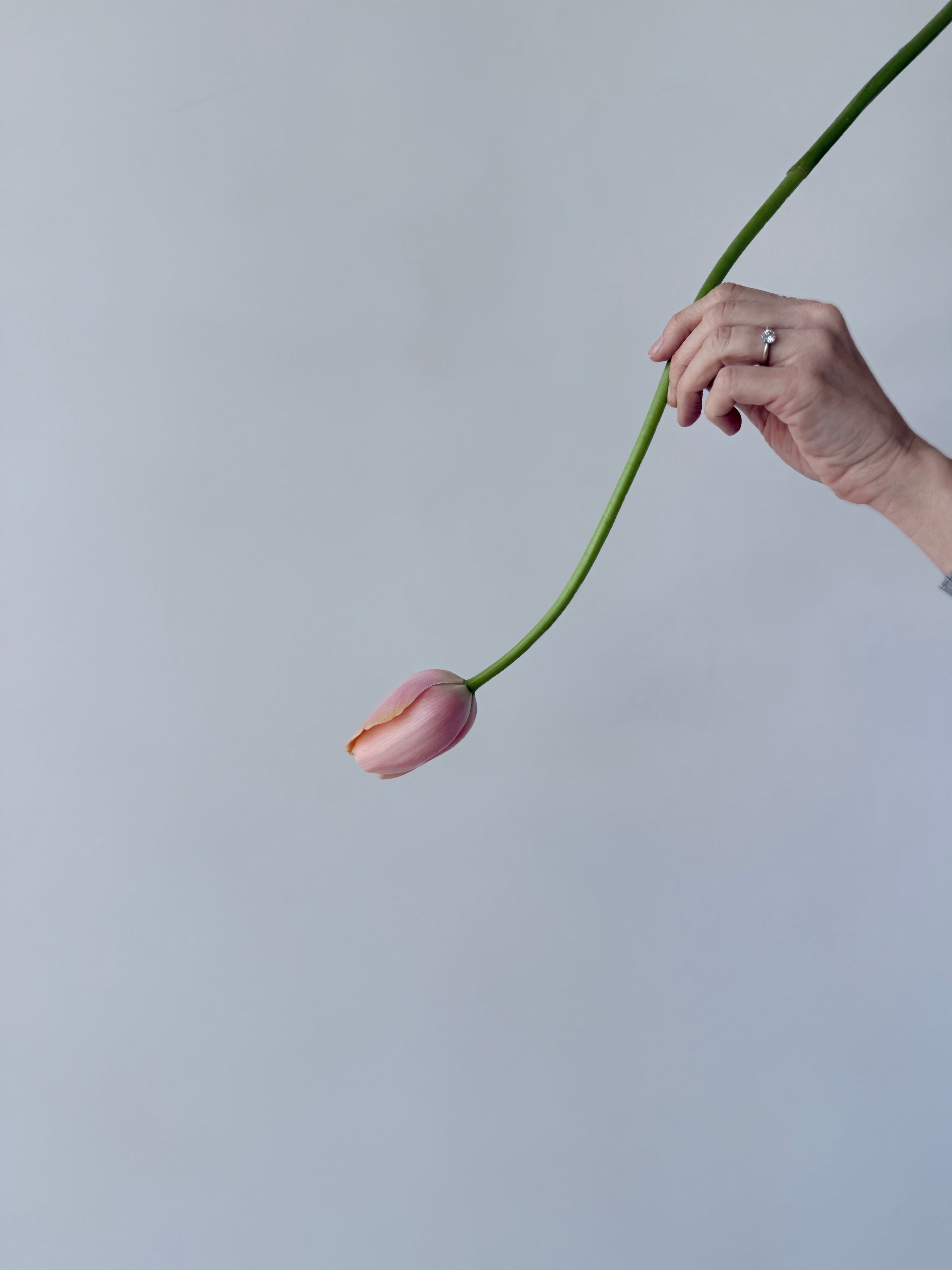 Taller Floral Estacional