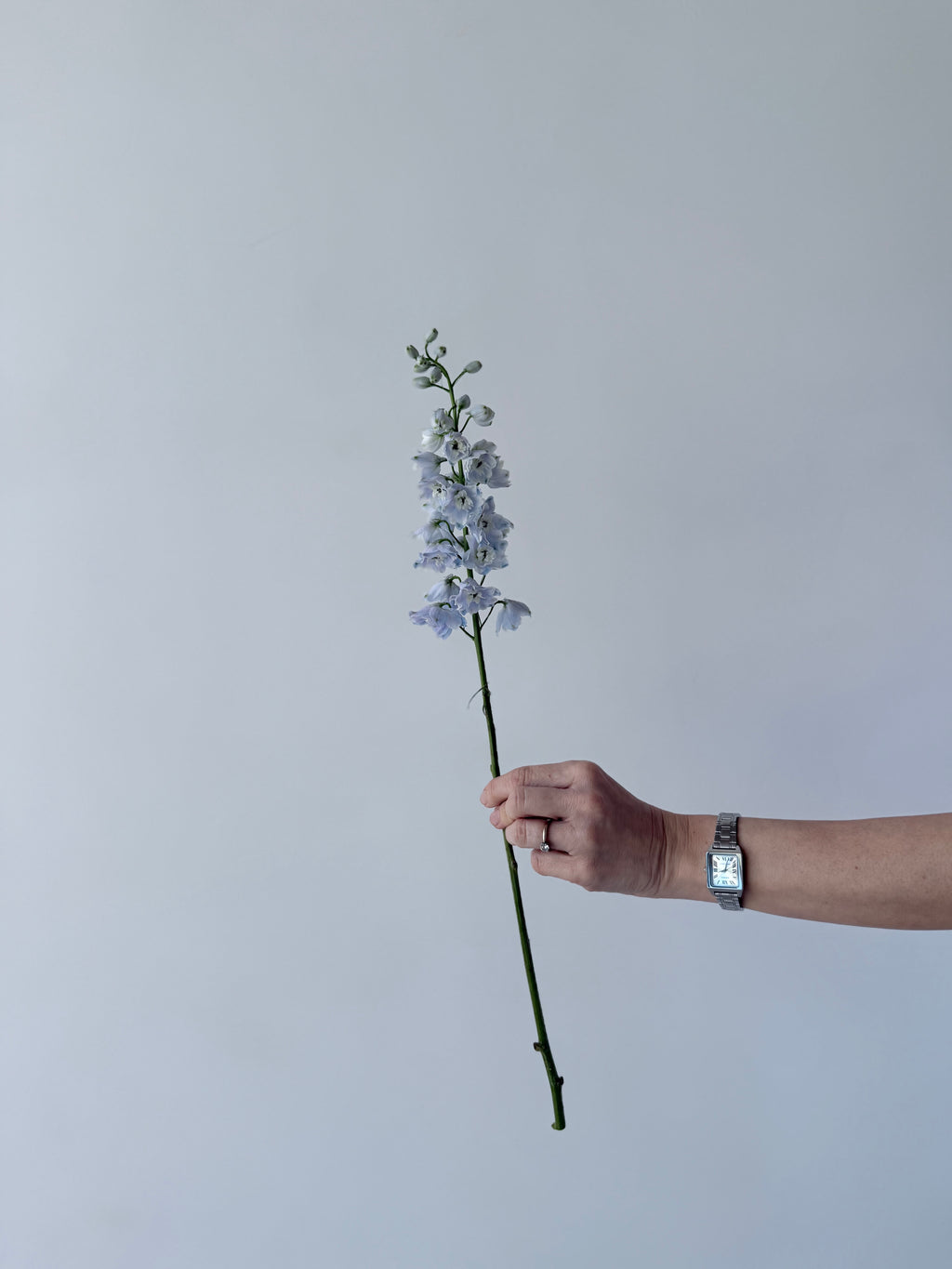 Taller Floral Estacional