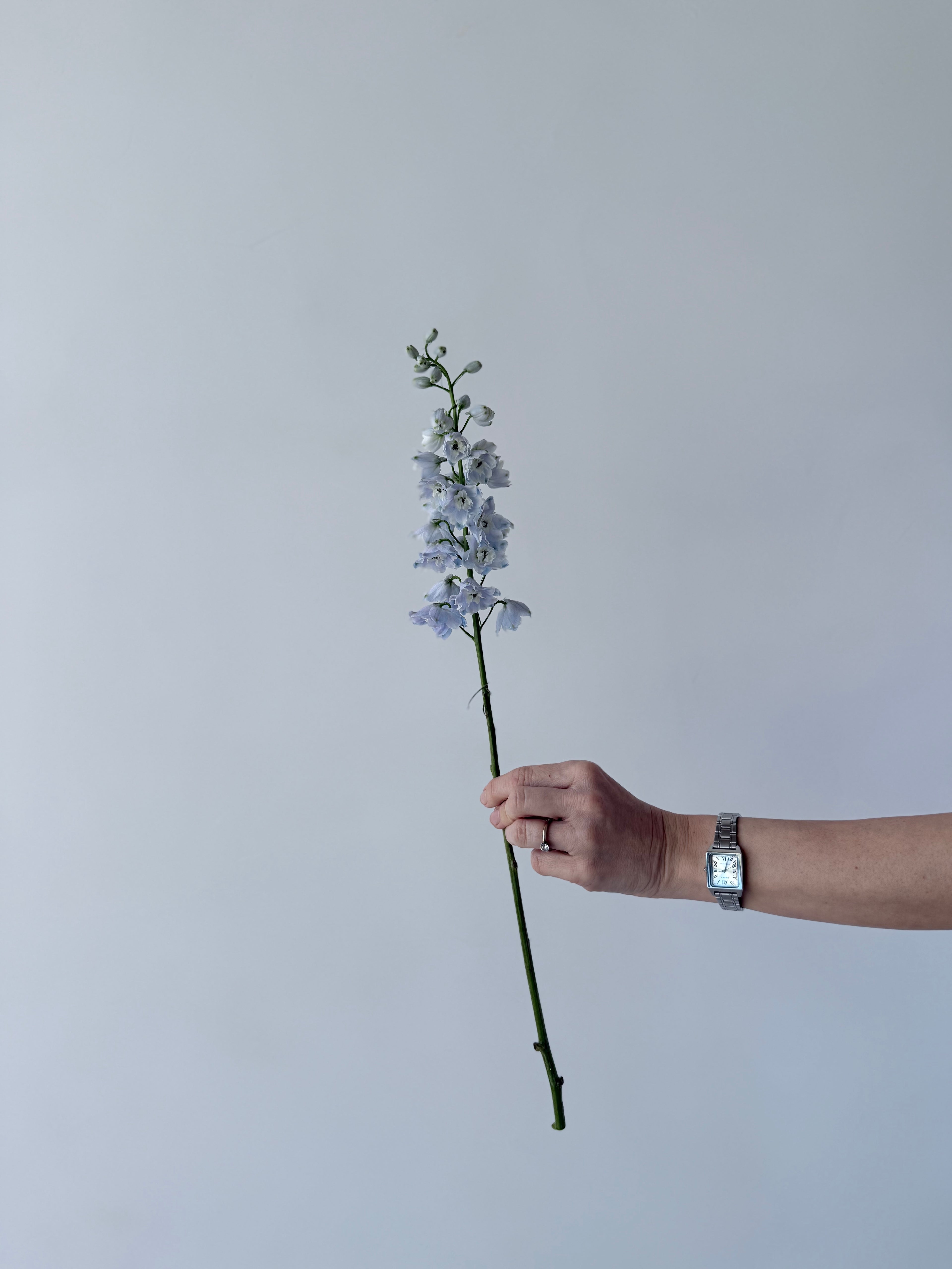 Taller Floral Estacional