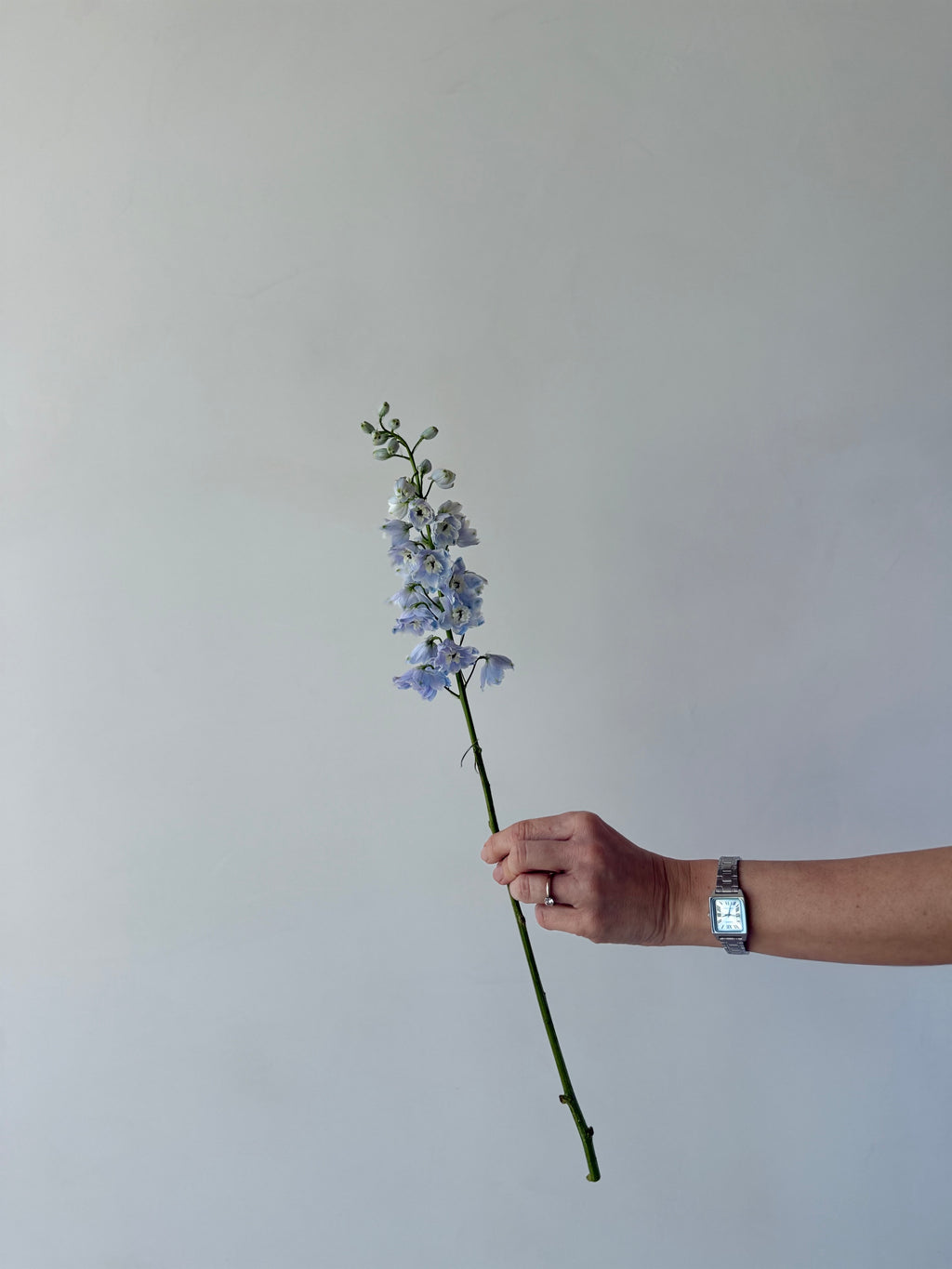 Taller Floral Estacional