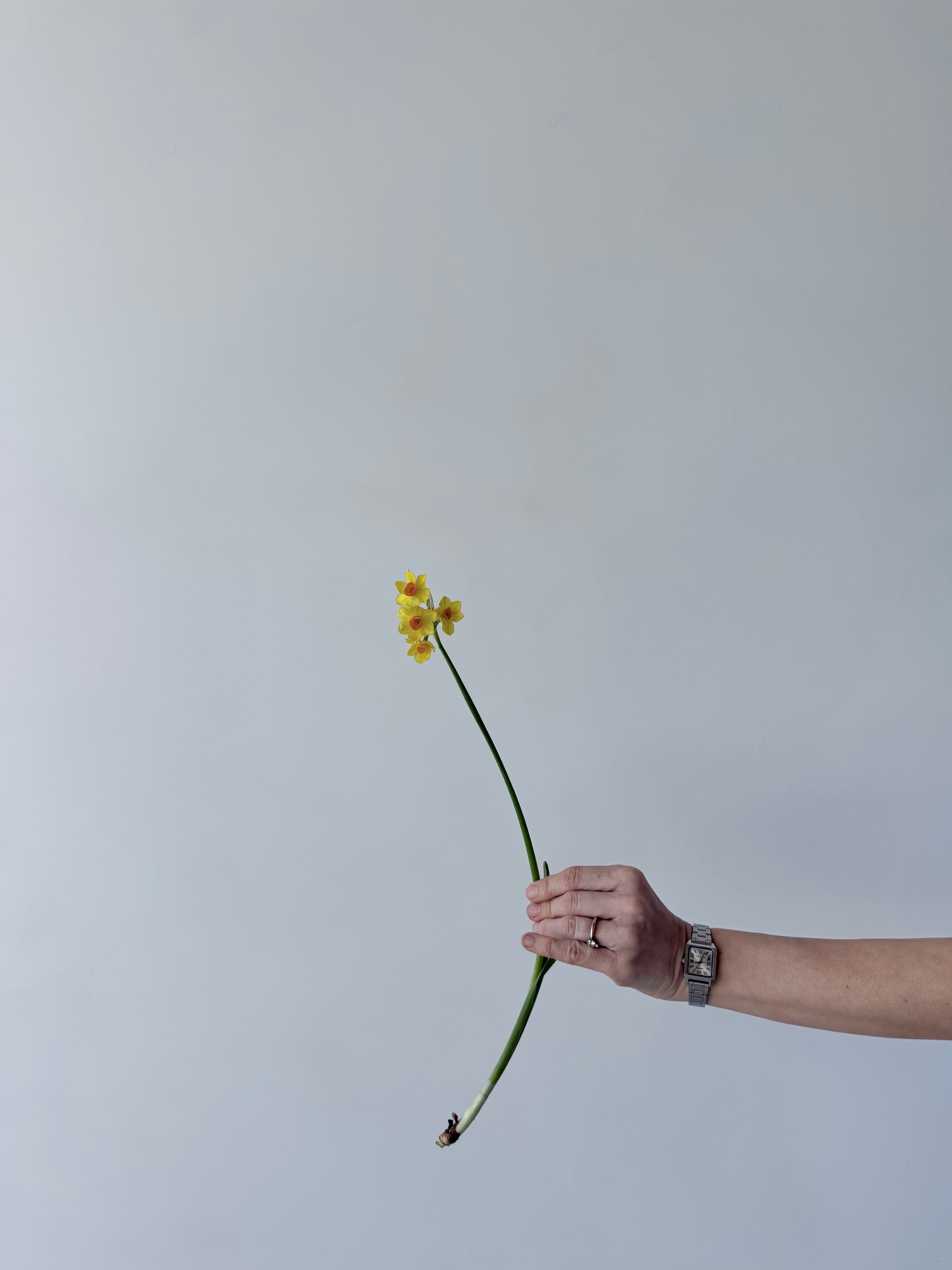 Taller Floral Estacional