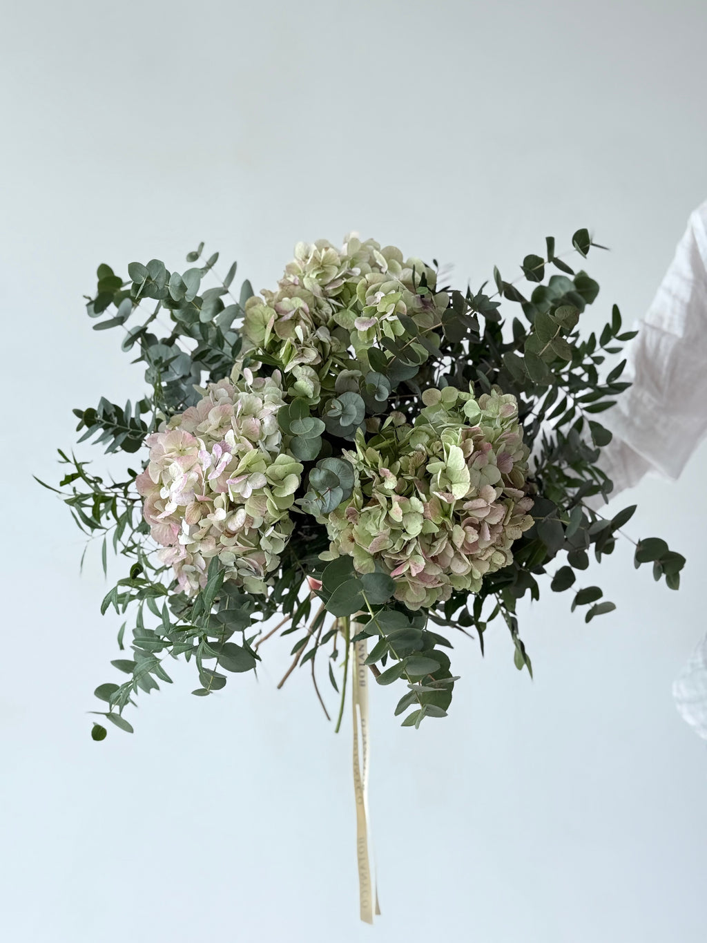 Ramo de Hortensia