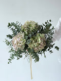 Ramo de Hortensia
