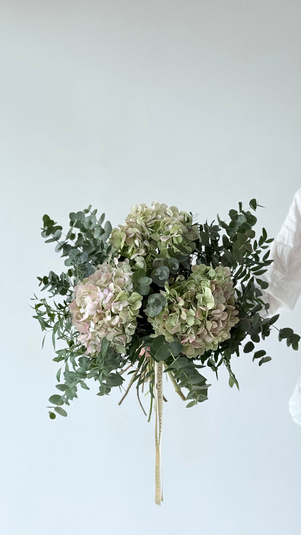 Ramo de Hortensia
