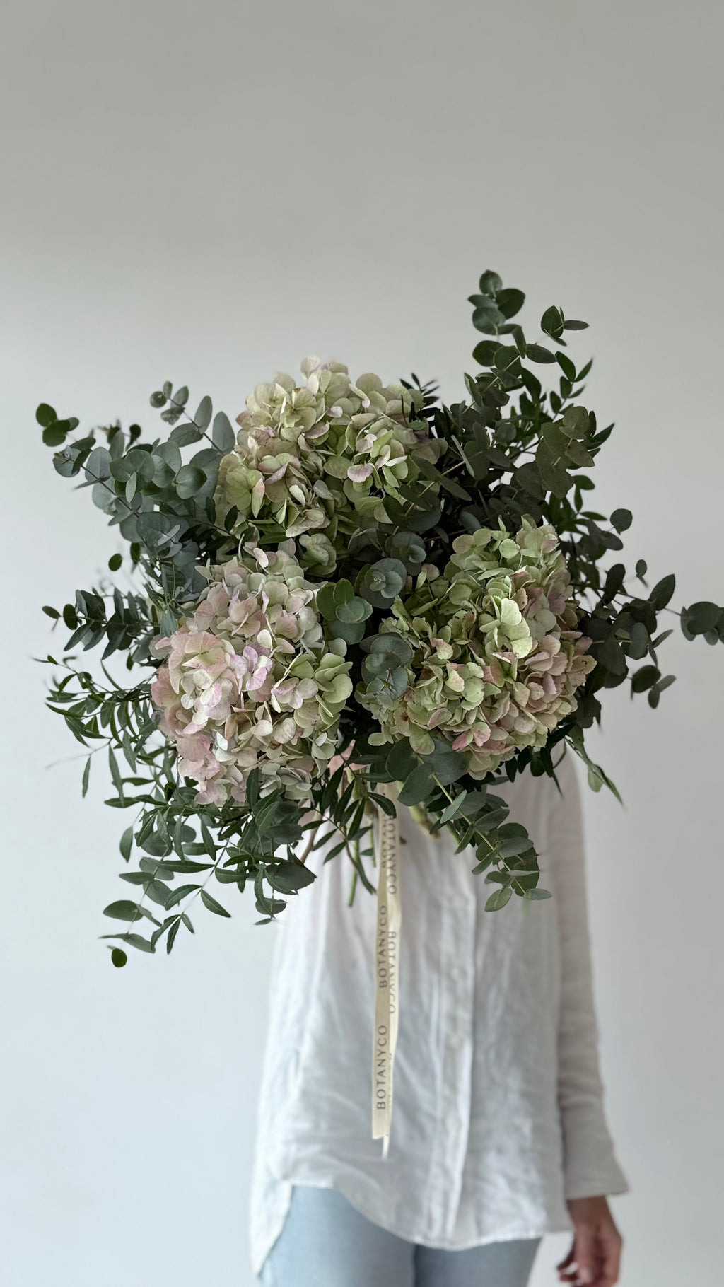 Ramo de Hortensia