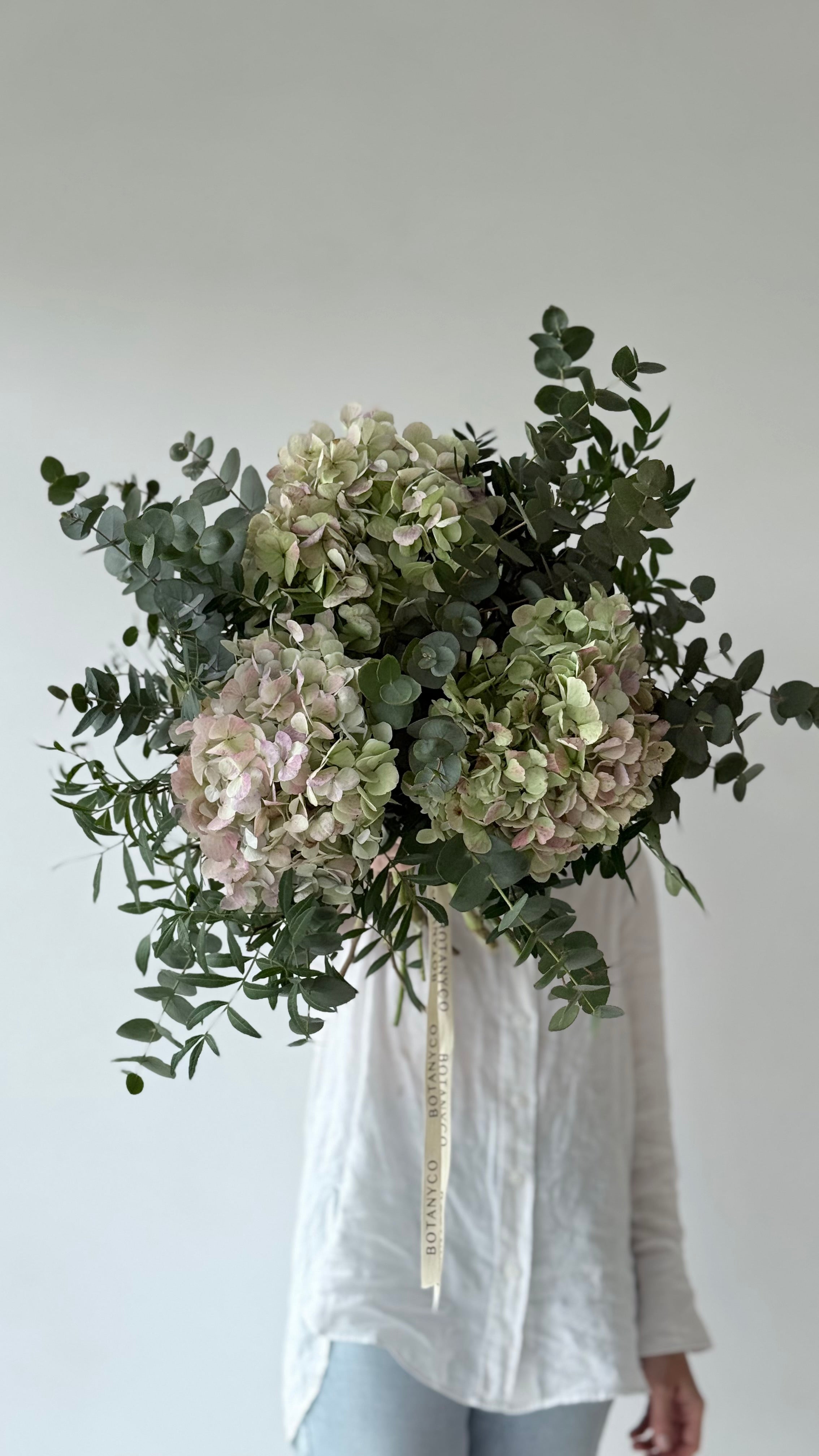 Ramo de Hortensia