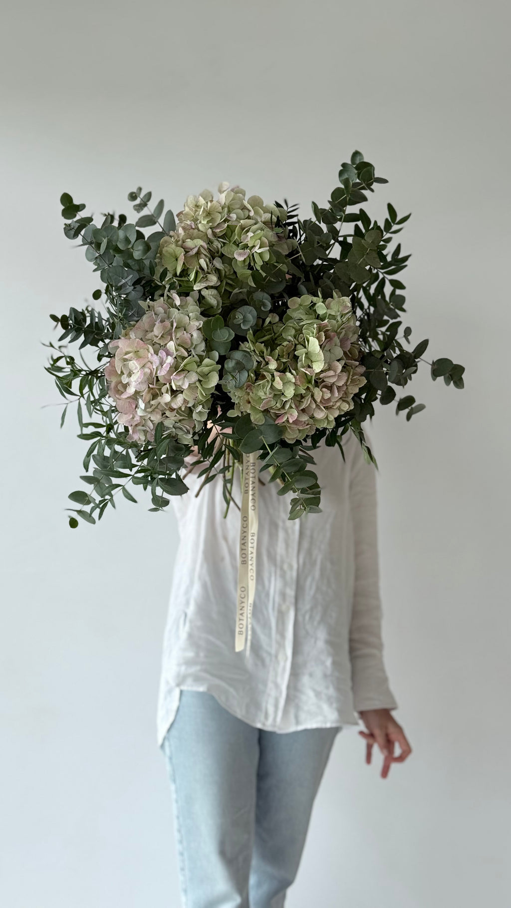 Ramo de Hortensia