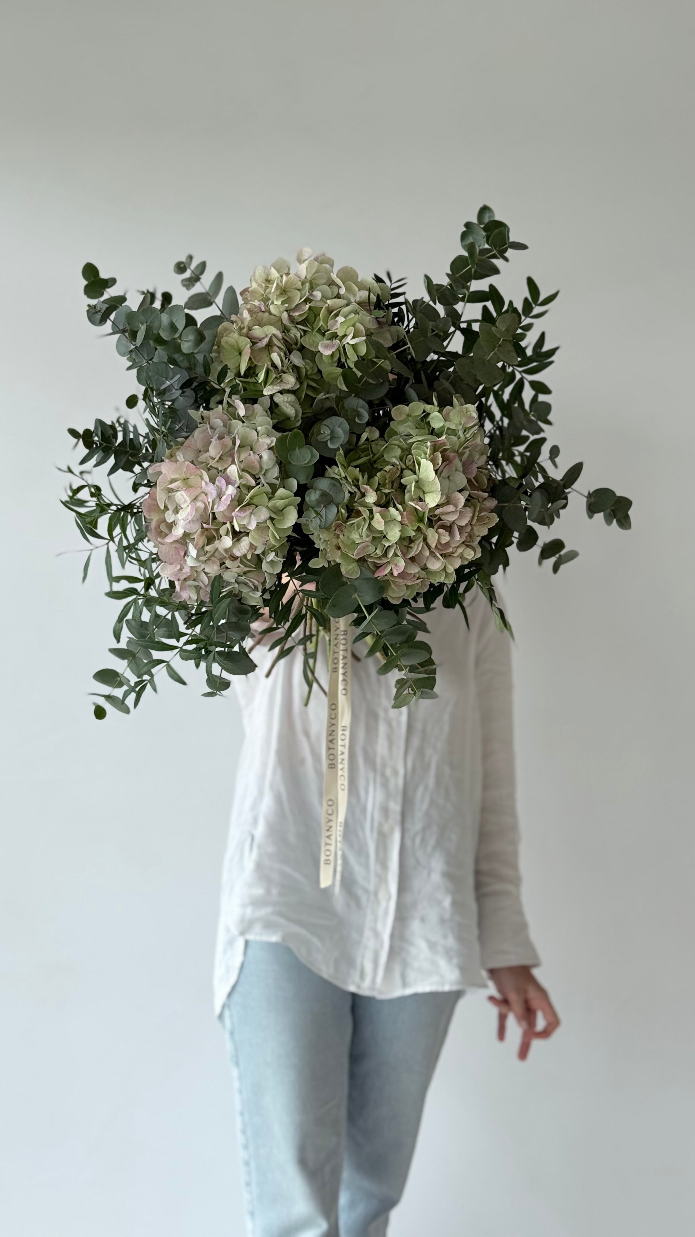 Ramo de Hortensia