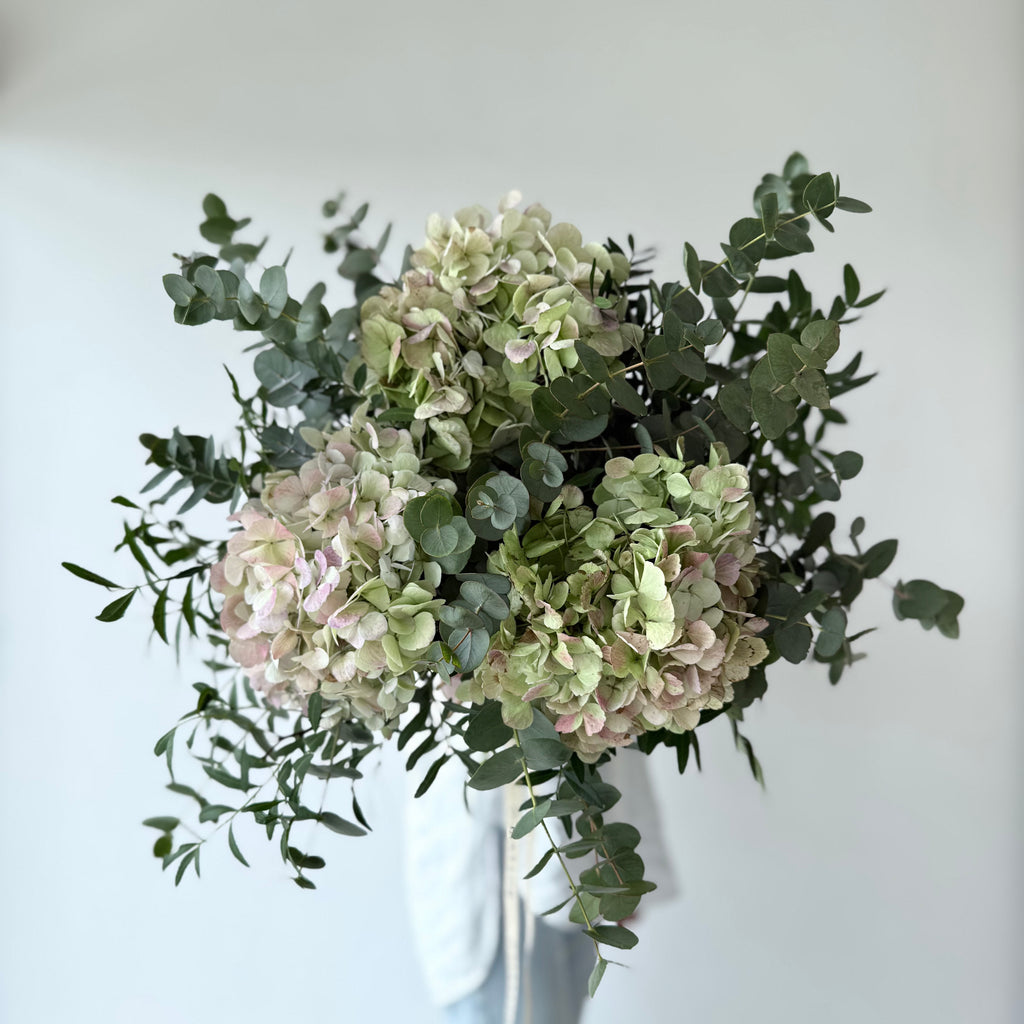 Ramo de Hortensia