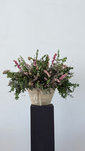 Capazo de Flor Seca y Preservada - Rosa