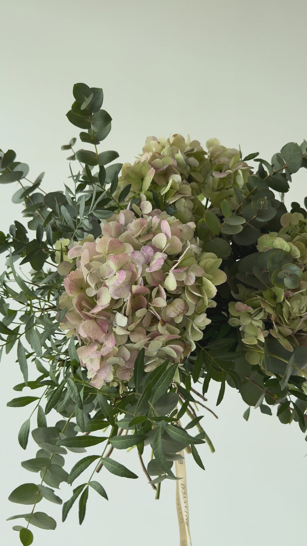 Ramo de Hortensia