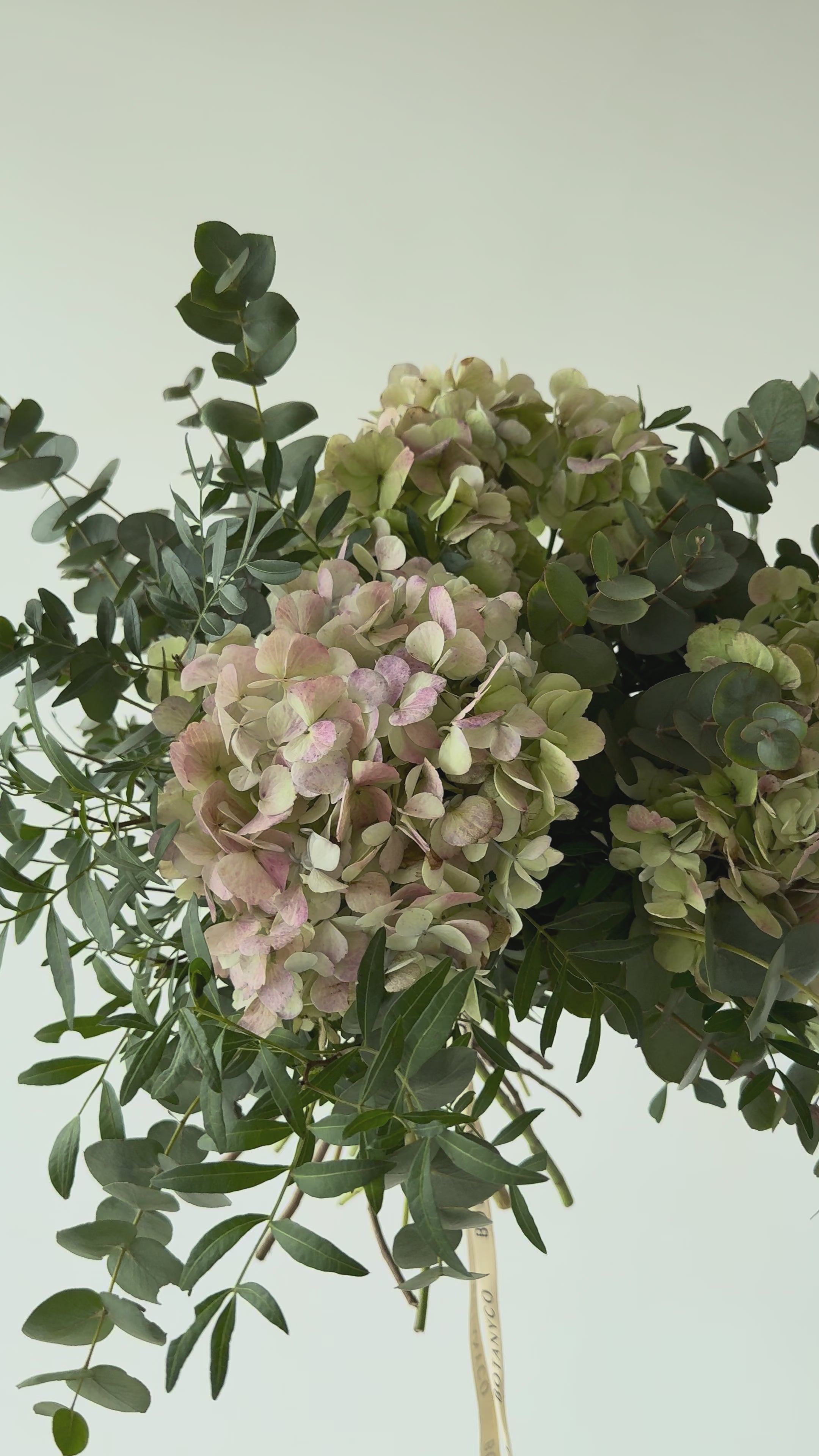 Ramo de Hortensia